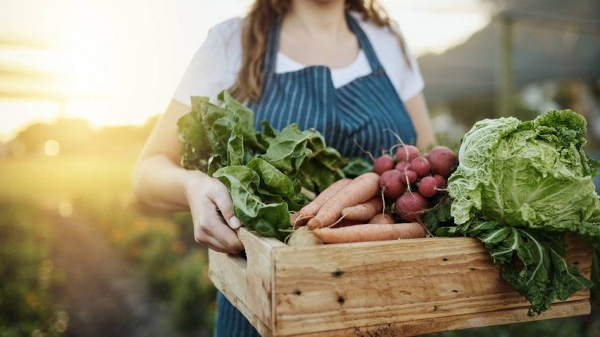 Food and Beverages, & Agriculture